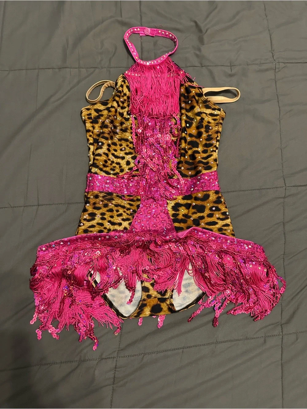 Girl Hot Pink Leopard Dance Costume